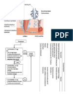 gambar obgyn.docx