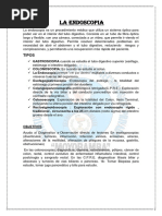 Procedimiento de Panendoscopia: Guía Completa | PDF | Medicina CLINICA ...