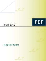 Energy 2008 (aVKs)