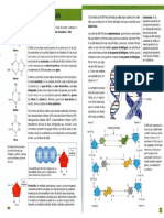 Biologia I - Santillana.pdf