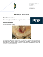 Patologiadelcasco PDF