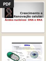 PP1 - DNA_f456106e50dca2df097c5fa80b373a14