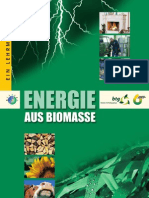 Lehrbuch Energie Aus Biomasse