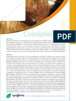 coleopteros.pdf