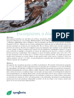 escorpion.pdf