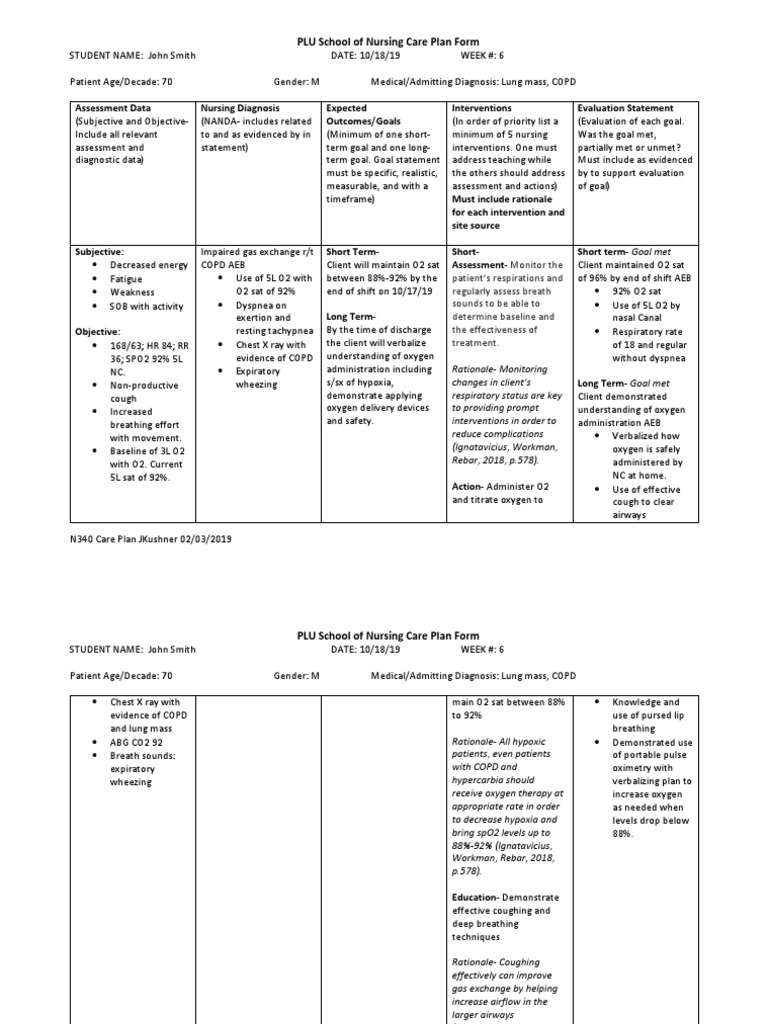 Nursing Care Plan | PDF | Chronic Obstructive Pulmonary Disease | Breathing