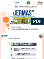 Paparan PHBS Dan Germas