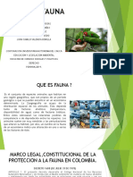 Fauna Ambiental