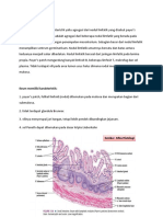 Histologi PBL Peritonitis