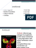 Antibodi Monoklonal