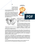 resumen-Anatomia-de-la-pelvis.docx