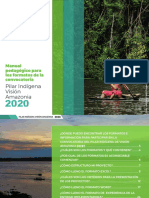Manual Formatos Proyectos PIVA 2020