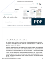 Notas de Auditoria PDF