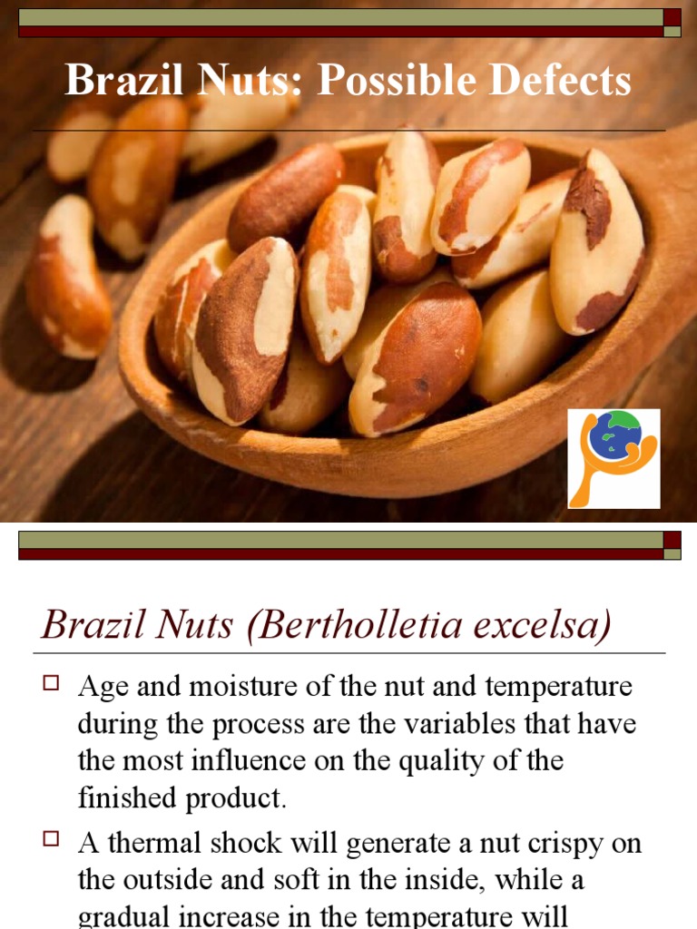 Brazil Nuts: Defects and Quality Issues | PDF | Mold | Soil