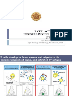 Pengaktifan Limfosit B.pdf