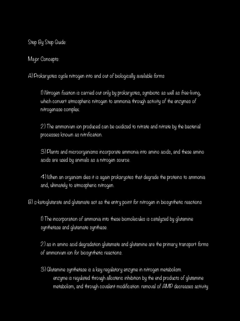 Nitrogen Pathways The Ultimate Guide For Beginners Experts - 6fayxfb