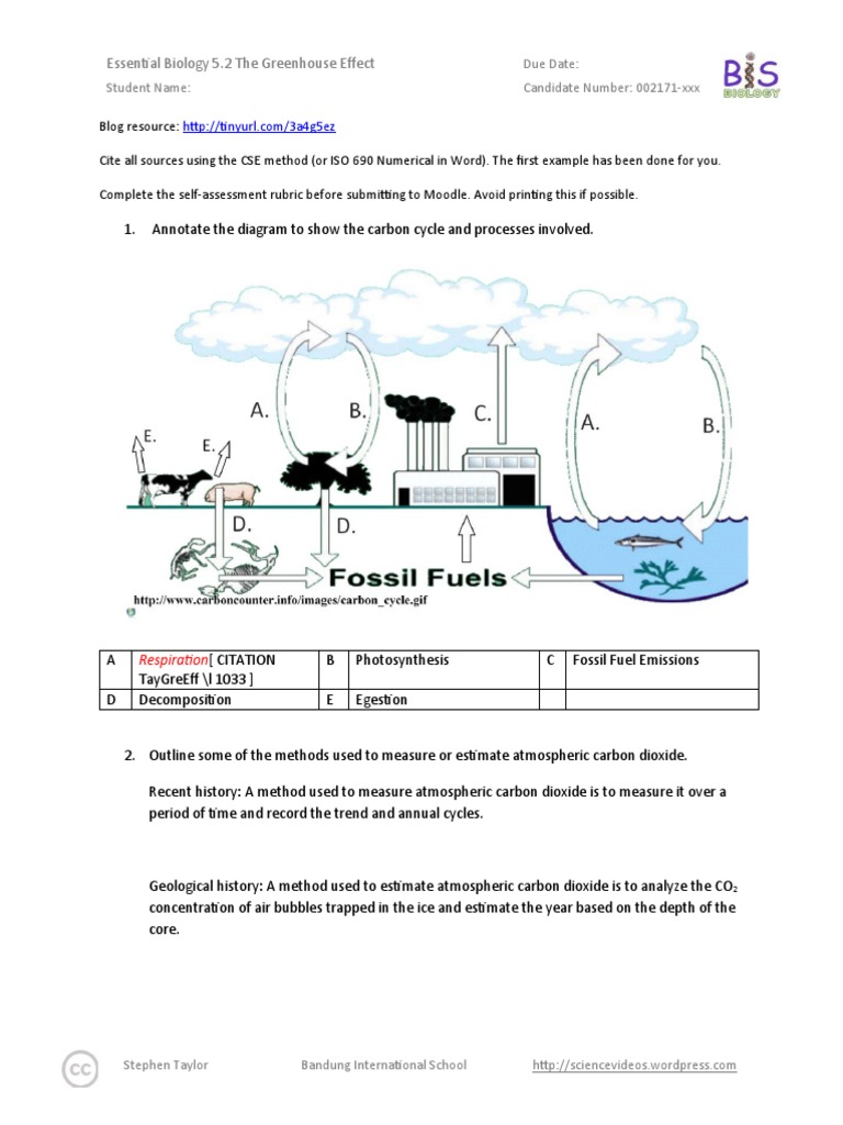 Understanding the Greenhouse Effect | PDF | Carbon Dioxide In Earth's ...