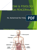anatomi-fisiologi-pencernaan-akbid.ppt