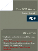 How DNA Works Ch 6.2 7th