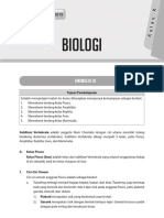Animalia 3 PDF