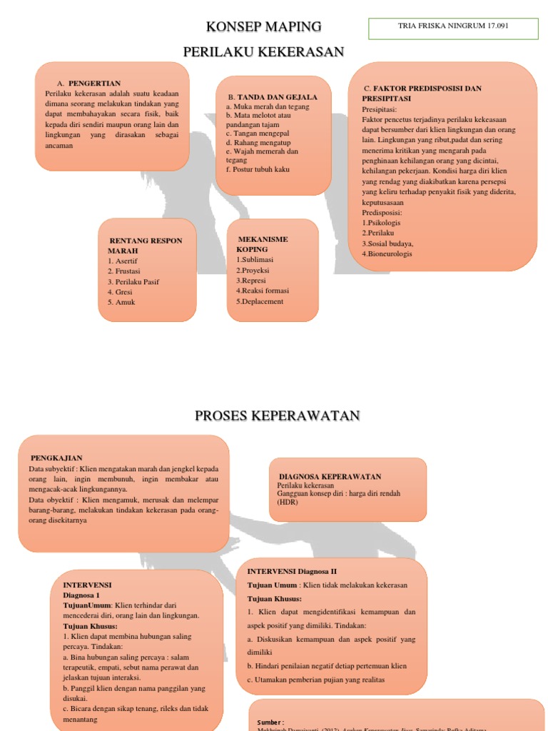 Mengelola Perilaku Kekerasan Melalui Pendekatan Keperawatan Jiwa Pdf