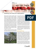 Honeycrisp Growth and Cropload