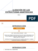 Tema 1 Anatomia