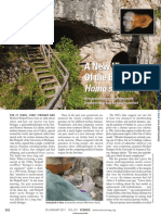 2011 Gibbons New View PDF