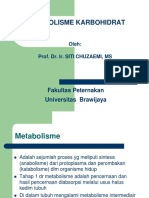 Metabolisme Karbohidrat S1