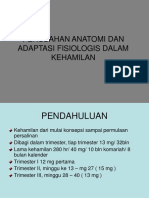 perub_anatomi.ppt_a