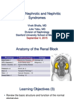 Nefrotik Dan Nefritik Sindrom PDF