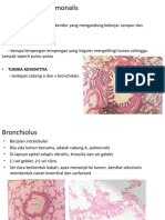 Histo Bronchus Terminalis - Saccus