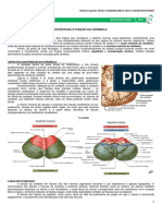 MEDRESUMOS 2016 - NEUROANATOMIA 09 - Estrutura e Funções Do Cerebelo PDF