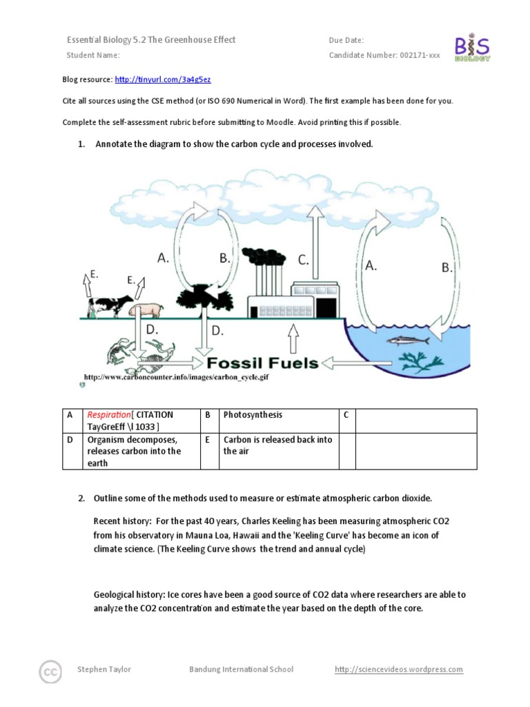 Understanding the Greenhouse Effect | PDF | Climate Change | Carbon ...