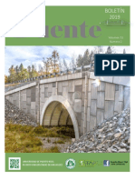 ESP - Boletín El Puente - Vol 33-2-2019