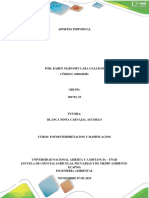 Aporteindividual Karenlaragallego PDF