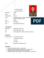 Curriculum Vitae