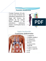 Posicion anatomica e quadrantes abdominales.docx