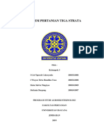 Sistem Pertanian Tiga Strata (KLP 3)