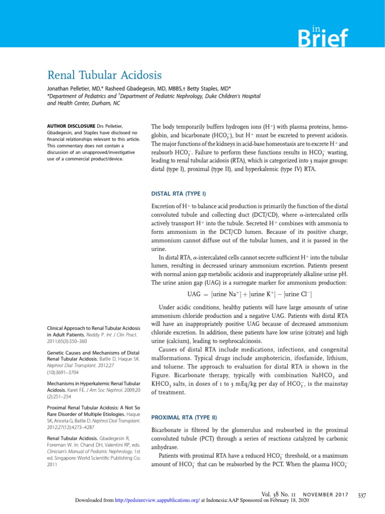 RTA Diagram PDF | PDF | Kidney | Clinical Medicine