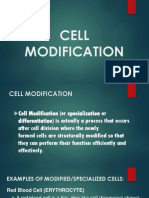 Cell Modification