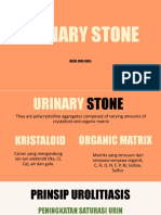 URINARY STONE.pptx