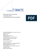 Proiect Didactic