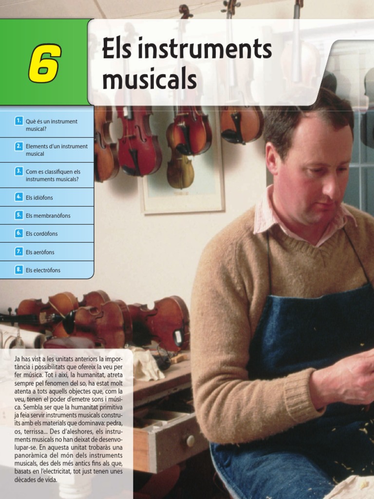 Instruments Musicals PDF | PDF