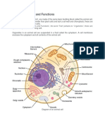 biochemistry animal plant cell partial assignment.docx