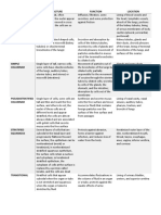 ANAPHY CHAPTER 4 TERMINOLOGIES.docx