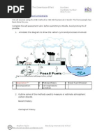 Download Essential Biology 52 WORD by Caitlin Barrett SN44763412 doc pdf