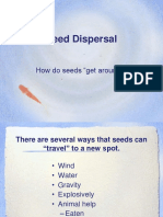 seed-dispersal.ppt