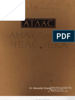 Anatomy Atlas (R.D. Sinelnikov Vol.3)
