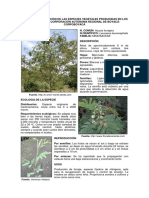 CAPITULO_I_DESCRIPCION_DE_LAS_ESPECIES_VEGETALES_PRODUCIDAS_EN_LOS_VIVEROS_DE_LA_CORPORACION_AUTONOMA_REGIONAL_DE_BOYACA-_CORPOBOYACA.pdf